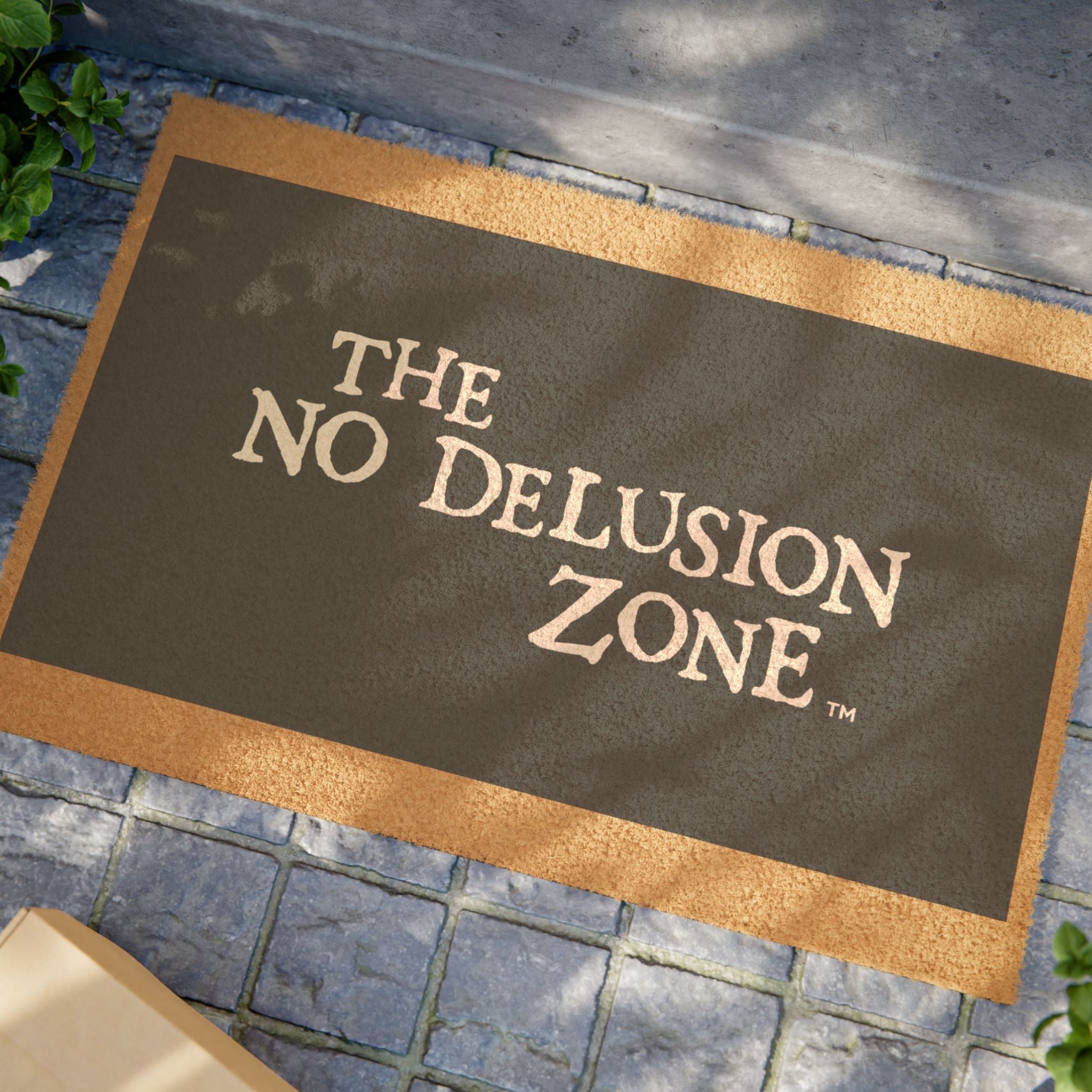 Welcome Mat - The No Delusion Zone - Fun & Quirky Home Decor